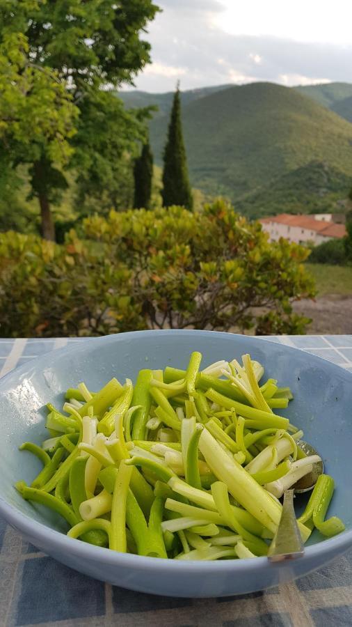 Gites-Terroirs-Occitanie Mauzac Felluns Zewnętrze zdjęcie